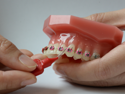 Interdental brush